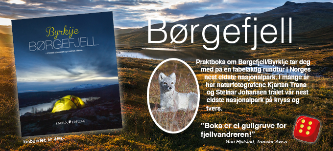 Børgefjell 